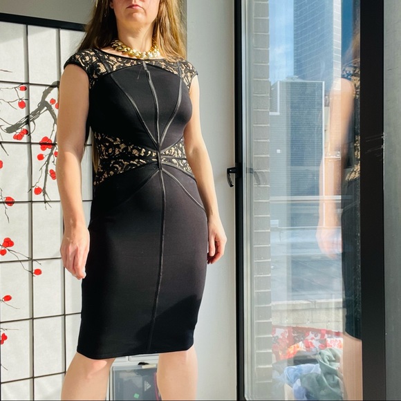 Tadashi Shoji Black Lace Bodycon Dress - Picture 12 of 17